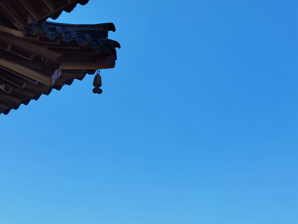 1690873716538378.jpg 3.jpg